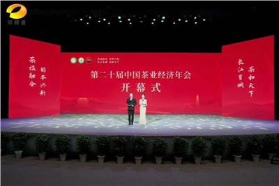 【聚焦第二十屆中國茶業(yè)經濟年會】益陽茶廠榮獲“民族團結互助企業(yè)”、“2024年度茶業(yè)重點企業(yè)”榮譽稱號
